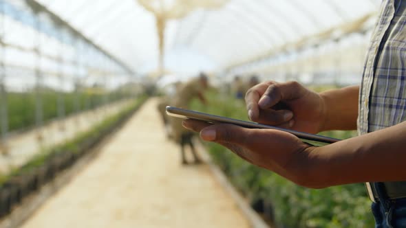 Man using digital tablet in blueberry farm 4k alt