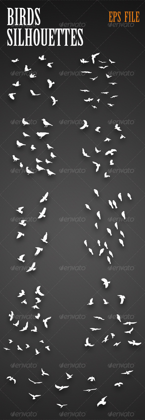Birds Silhouettes - Animals Characters