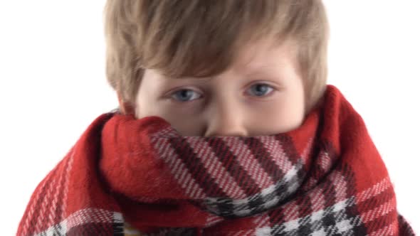 Portrait of a Cold Little Boy Wrapped Up in a Warm Scarf in a Studio on a White Background