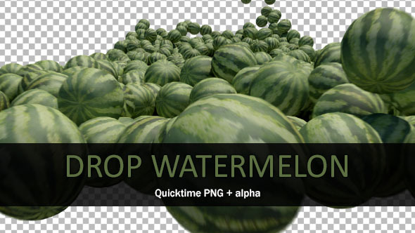 Drop Watermelon 