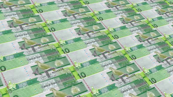 Gambia  Money / 10 Gambian Dalasi 4K alt