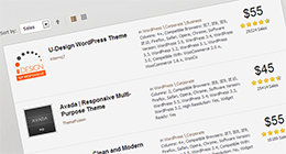 10 WordPress Theme Bestsellers