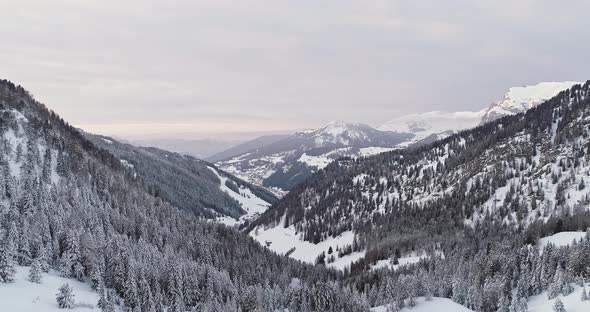 Backward Aerial to Snowy Valley with Woods Forest at Sella Pass alt