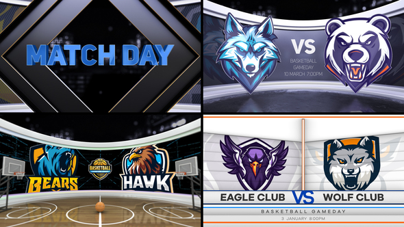 Basketball VS Logo Stings template preview