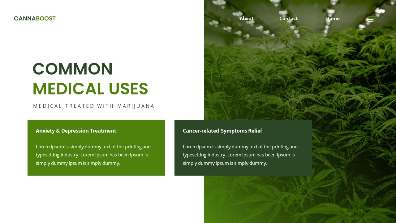 Medical Marijuana PowerPoint, Presentation Templates | GraphicRiver