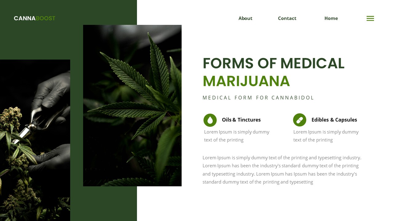 Medical Marijuana PowerPoint, Presentation Templates | GraphicRiver