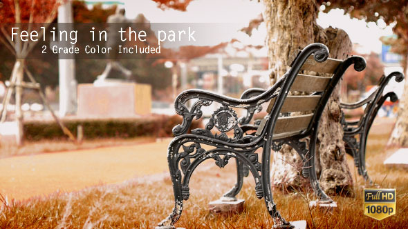 Feeling in the Park alt