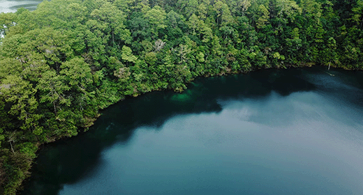 Lagos de Montebello, Chiapas – Stunning Blue Lakes and Scenic Views