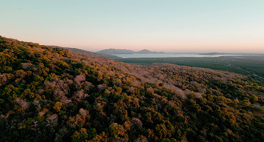 Chametla, Sinaloa – Scenic Landscapes and Aerial Views