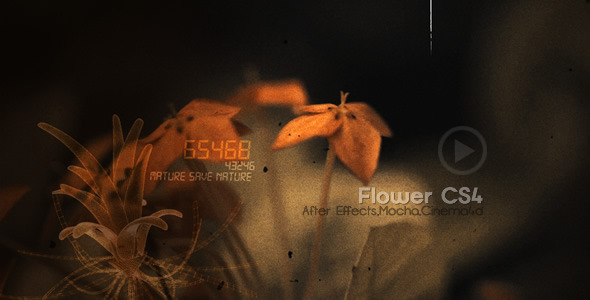 Flowers CS4