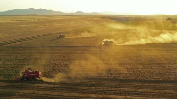 Running Harvesters At Sunset alt