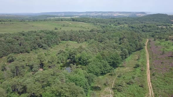 Aerial Fly Over of a beautiful forest with a pond in Devon, England alt