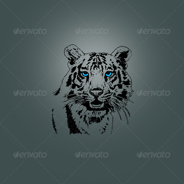Tiger Head Design - Animals Characters