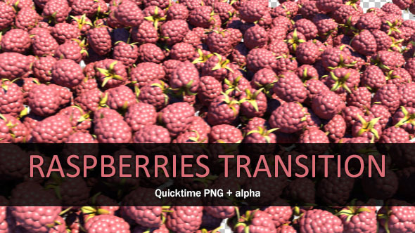 Raspberries Transition