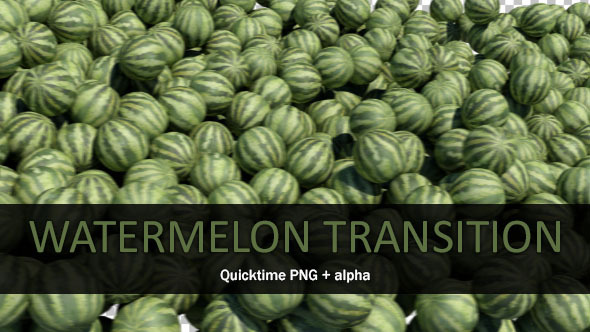 Watermelon Transition