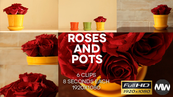 Roses and Pots (Pack of 6)