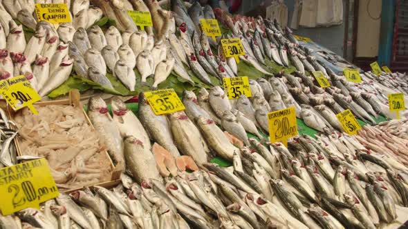 Fresh Fish at Seafood Market, Traditional Fish in Market. alt