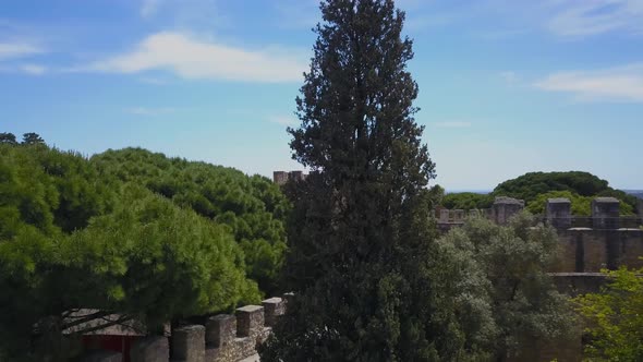 Close up View of palm trees against river Tejo over Alfama in Lisbon. Slow motion view. alt