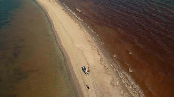 Aerial View From a Drone Flying Along Sea Coast Line and Happy Couple and Dog Walking By Sand Beach alt
