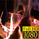 Burning Campfire - VideoHive Item for Sale