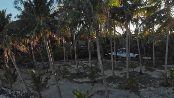 Lodge under palm trees, General Luna, Siargao Island, Philippines alt