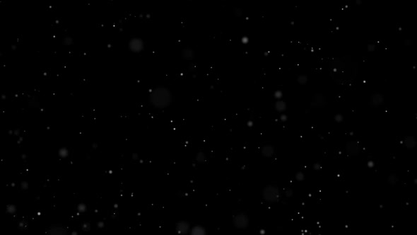 Dust Particles in Black Background. Abstract Background alt