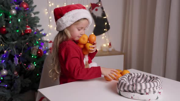 Portrait of Funny Kid in Red Santa's Hat Holding in Hands Oranges on Background of Christmas Tree