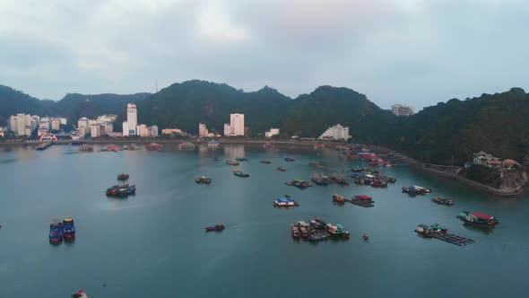 Aerial: Vietnam Cat Ba bay at twilight with floating fishing boats on sea, city skyline alt