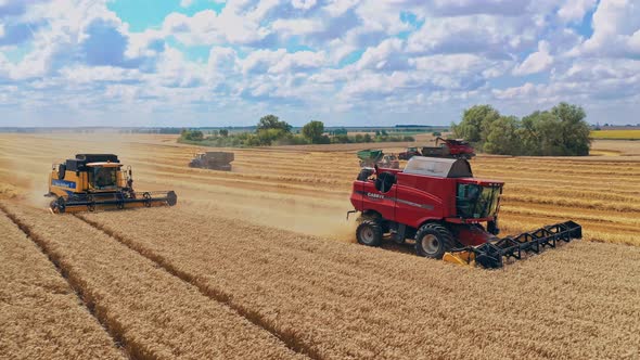 Combines on wheat field. Agricultural machine harvester working in the field alt