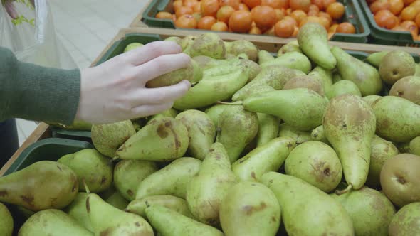 Woman Chooses Green Pears at the Market