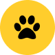 Preview icon
