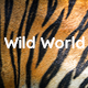 WildWorld | Nonprofit & Ecology WordPress Theme