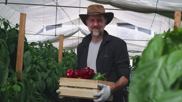 Glad Mature Gardener with Crate of Peppers alt