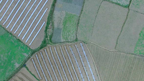 Countryside Farmland alt