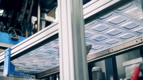 Extruder Making Transparent Tray Lids Out of Plastic Sheet alt