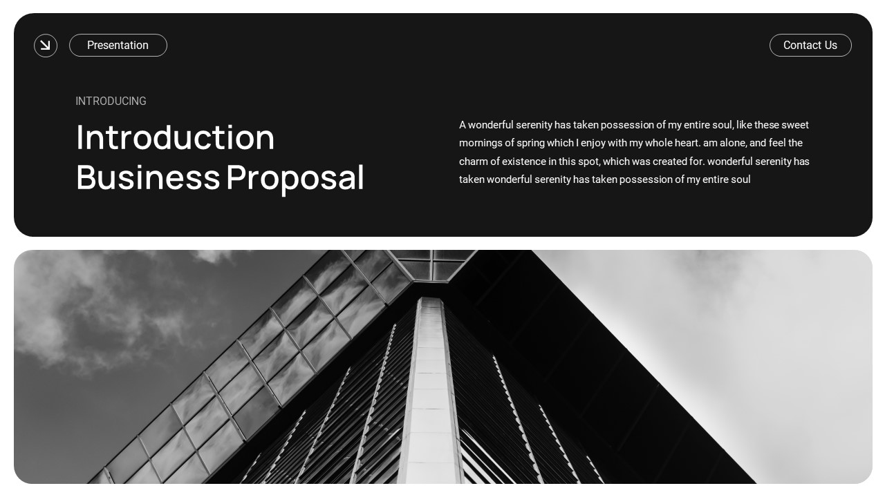 Black White Business Proposal PowerPoint Template, Presentation Templates