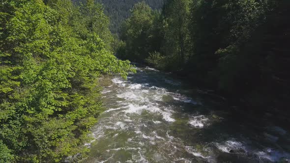 Aerial Drone Footage Of Rushing Water Rapids Between Evergreen Trees 2