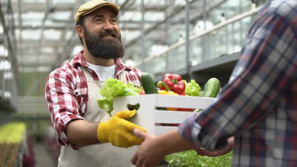 Friendly Farmer Giving Box of Fresh Vegetables to Customer, Agriculture Business