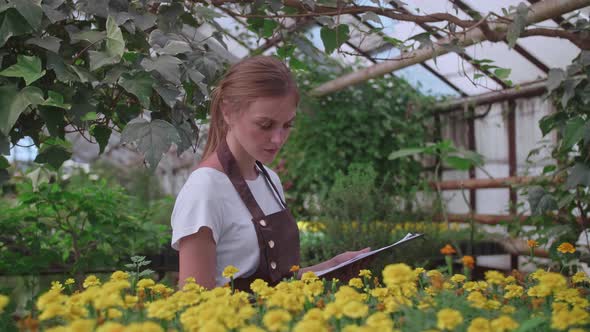The Girl Inspector in the Apron Checks and Counts the Flowers in the Greenhouse Keeps Their Records