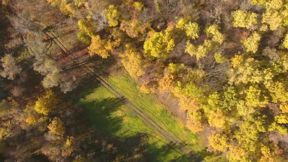 Aerial View Beautiful Autumn Forest with Yellow and Red Trees. Autumn in Forest, Aerial Top View alt