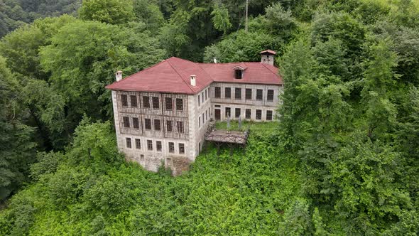 Historical Stone Mansion In The Forest alt