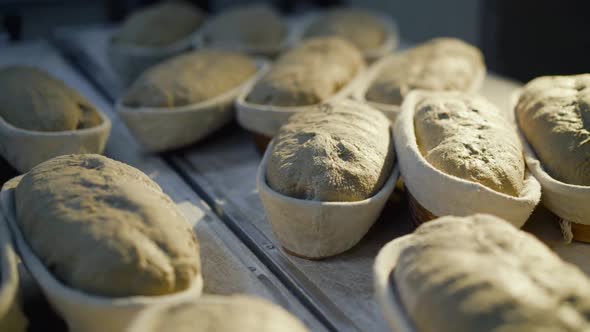 Close View of the Approached Organic Breads on Leaven in Forms on a Table alt