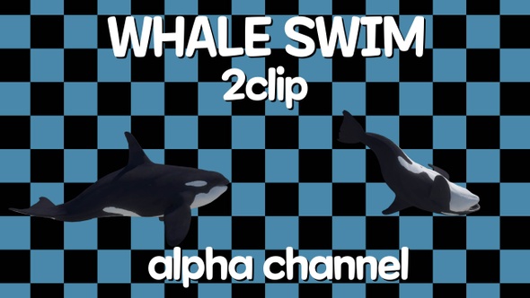 Whale 2clip Alpha