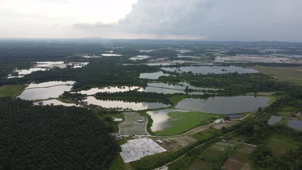 Aerial view plantation near tin mining lake alt
