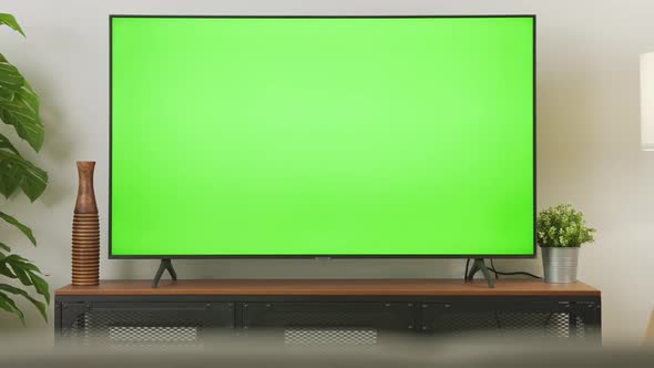 Zoom out shot of TV Green Screen in living room with tree and lamps ...
