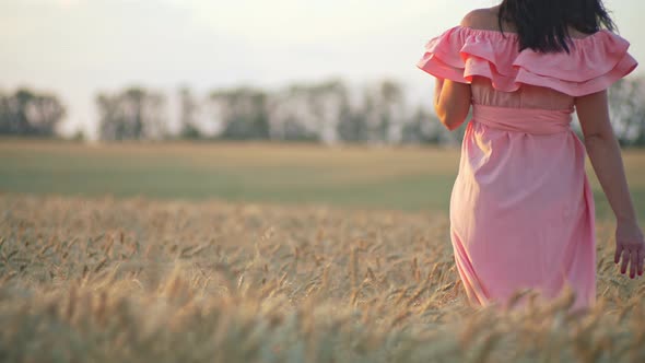 Women's Hands Touch Golden Ears of Wheat alt