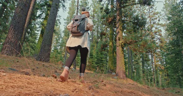 Hiker with Backpack on Cinematic Nature Background. Woman Walking in Green Forest alt