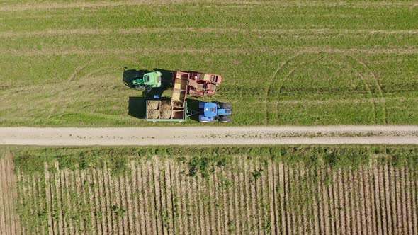 Top down shot at a potatoe collecting worker which is walking through his green and blue tractors. C alt