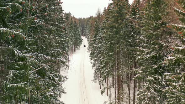 Drone Image of Winter Road in the forest