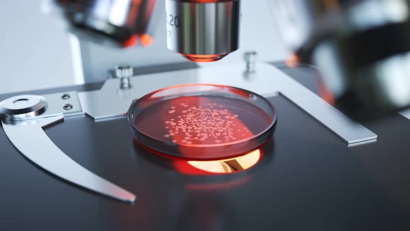 A modern microscope in a sterile lab room analyzing samples on a petri dish 4KHD alt